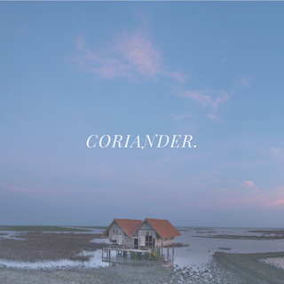 Coriander